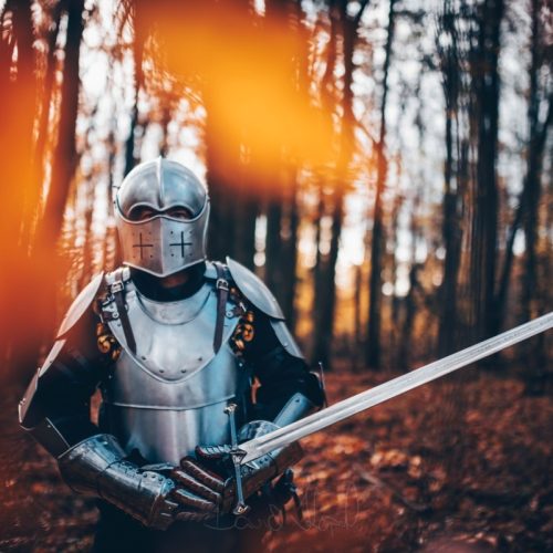 Ve stříbrné zbroji